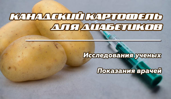 картошка при диабете