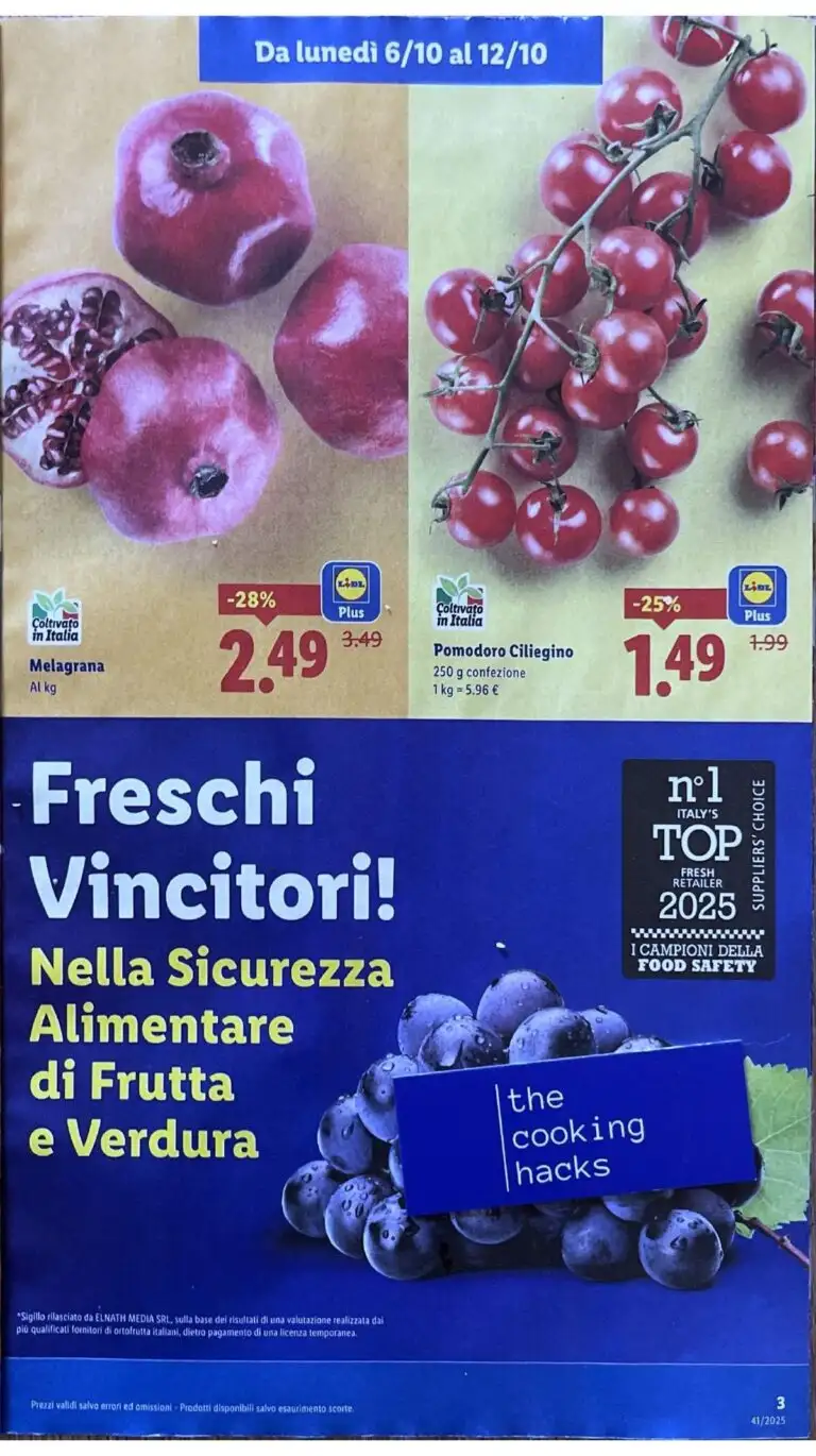 lidl offerte volantino