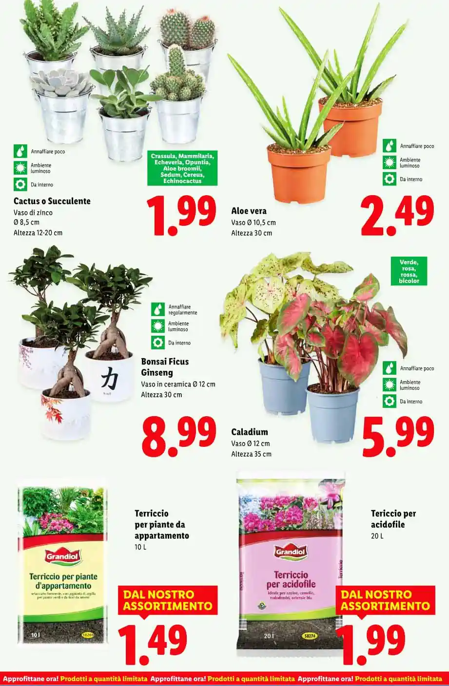 lidl it 212