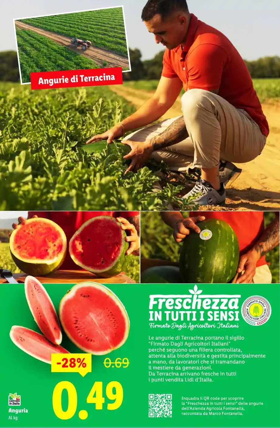 volantino Lidl