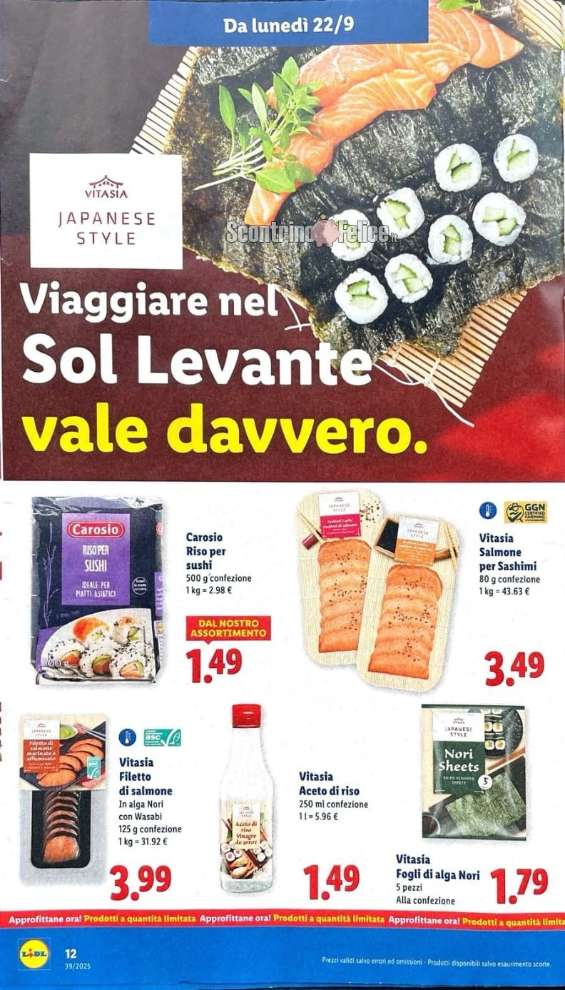 volantino lidl
