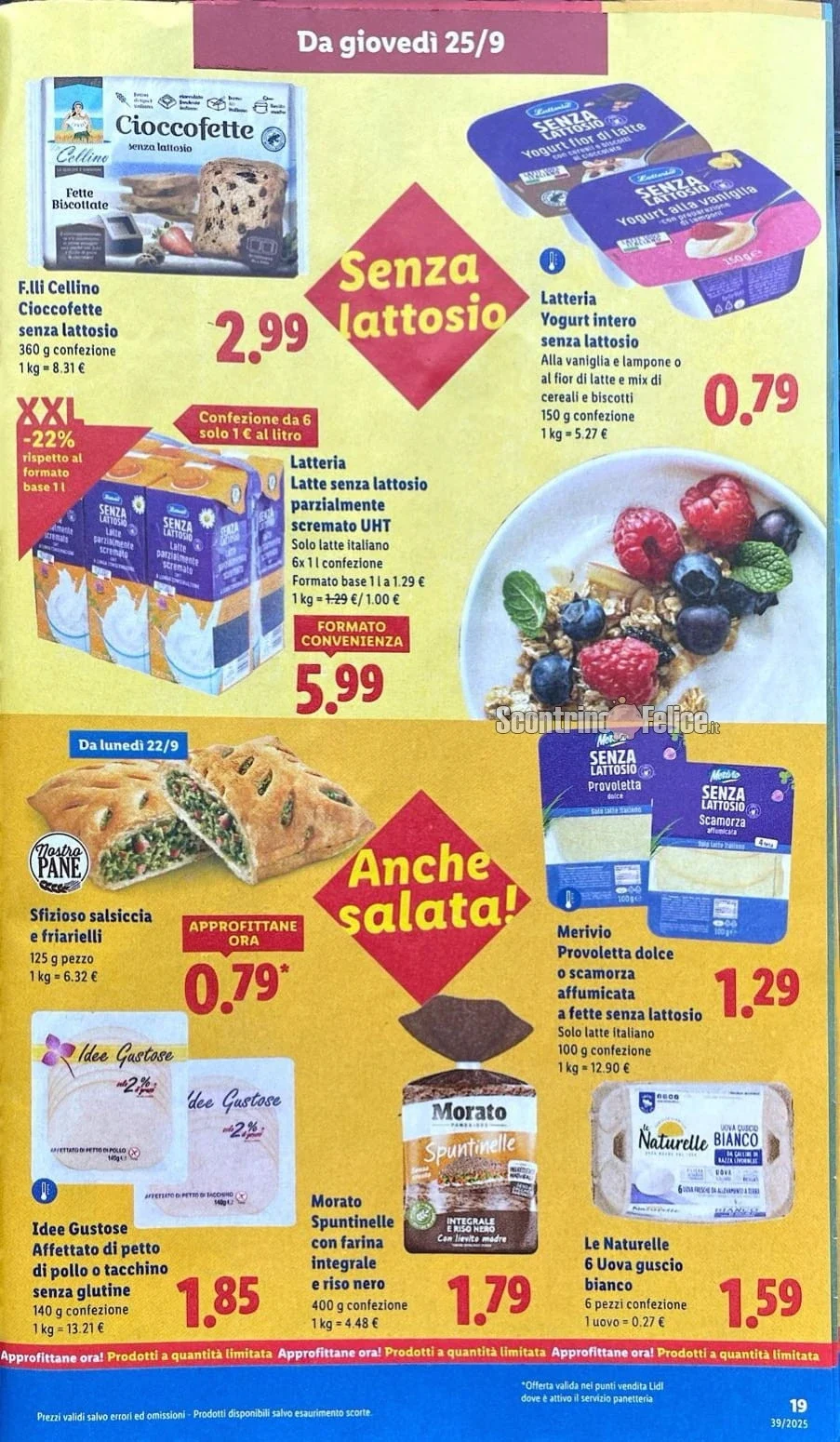 volantino lidl