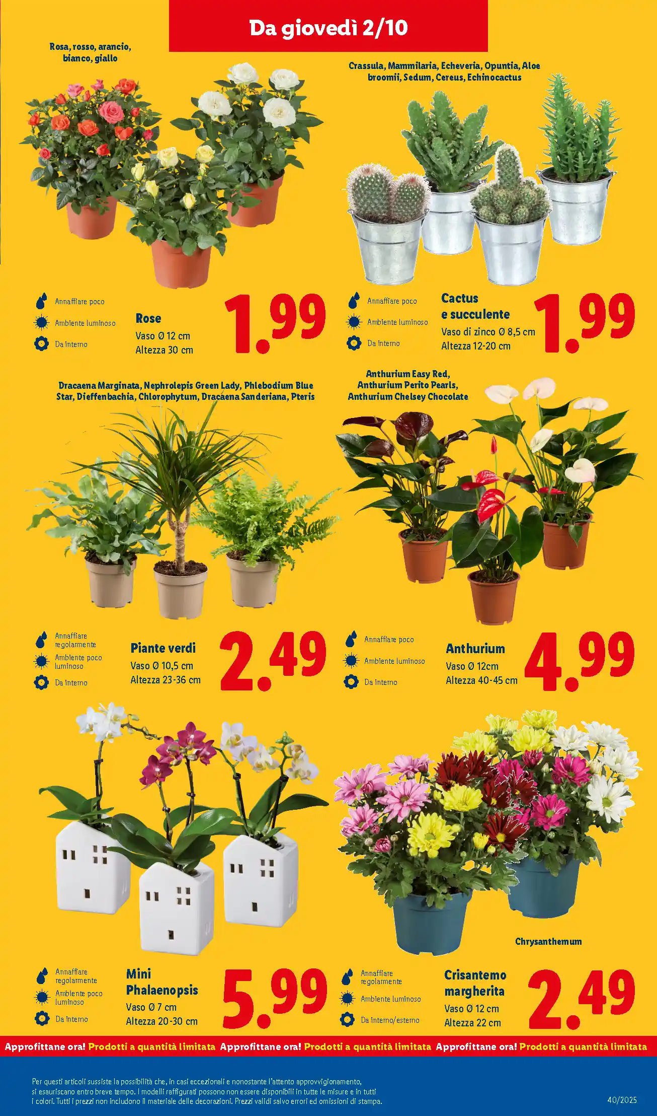 volantino lidl