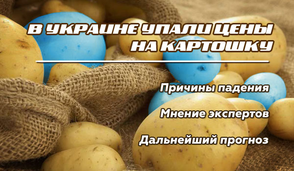 желто синяя картошка