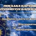 Лунный календарь посадки картофеля 2024