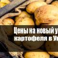 Цены на новый урожай картофеля