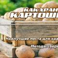 Где хранить картошку