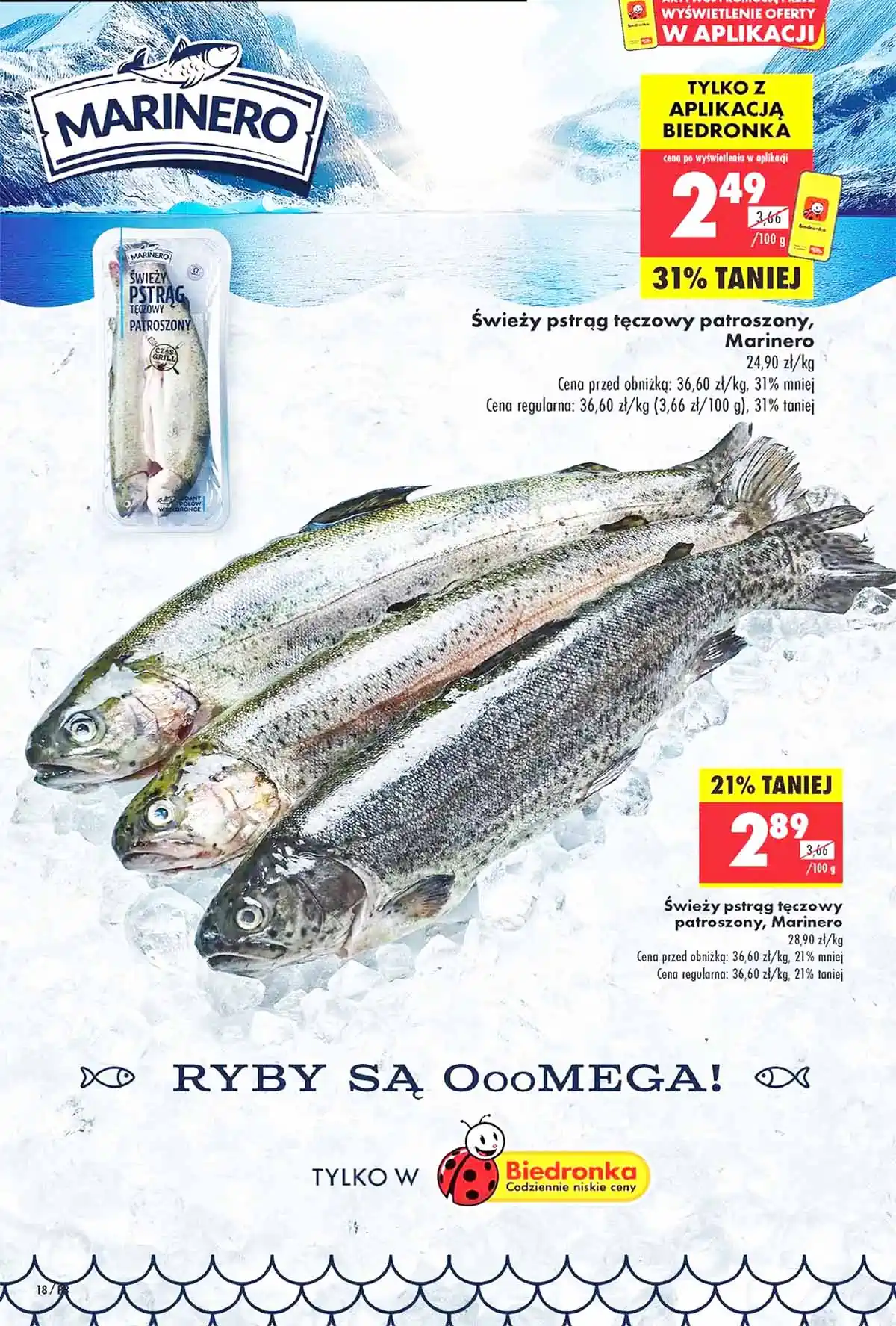 gazetka biedronka