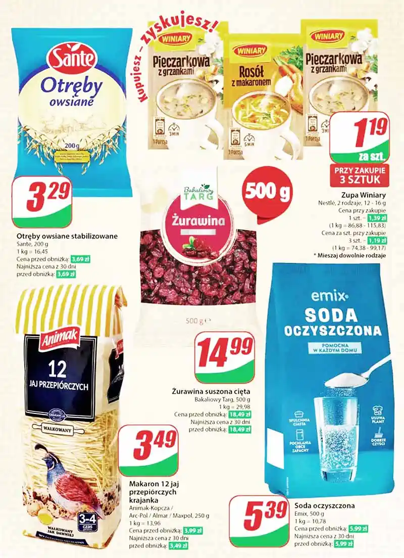 ulotka dino pl