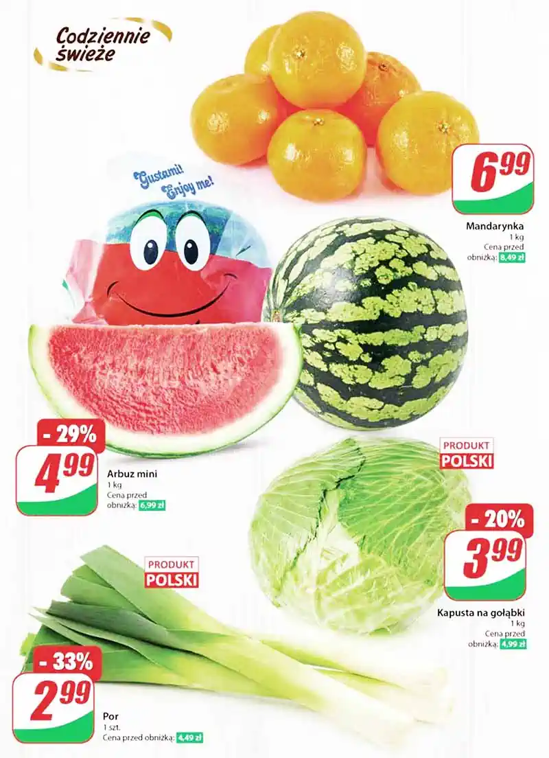 ulotka dino pl