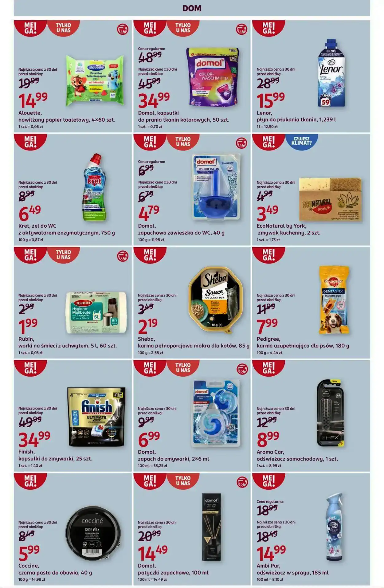 błyszczyk lśniący