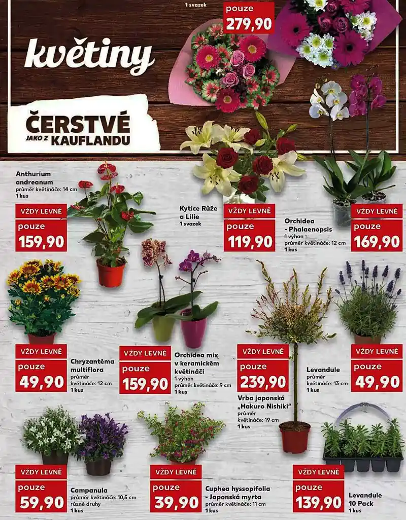letak kaufland 21.5.25 letak kaufland