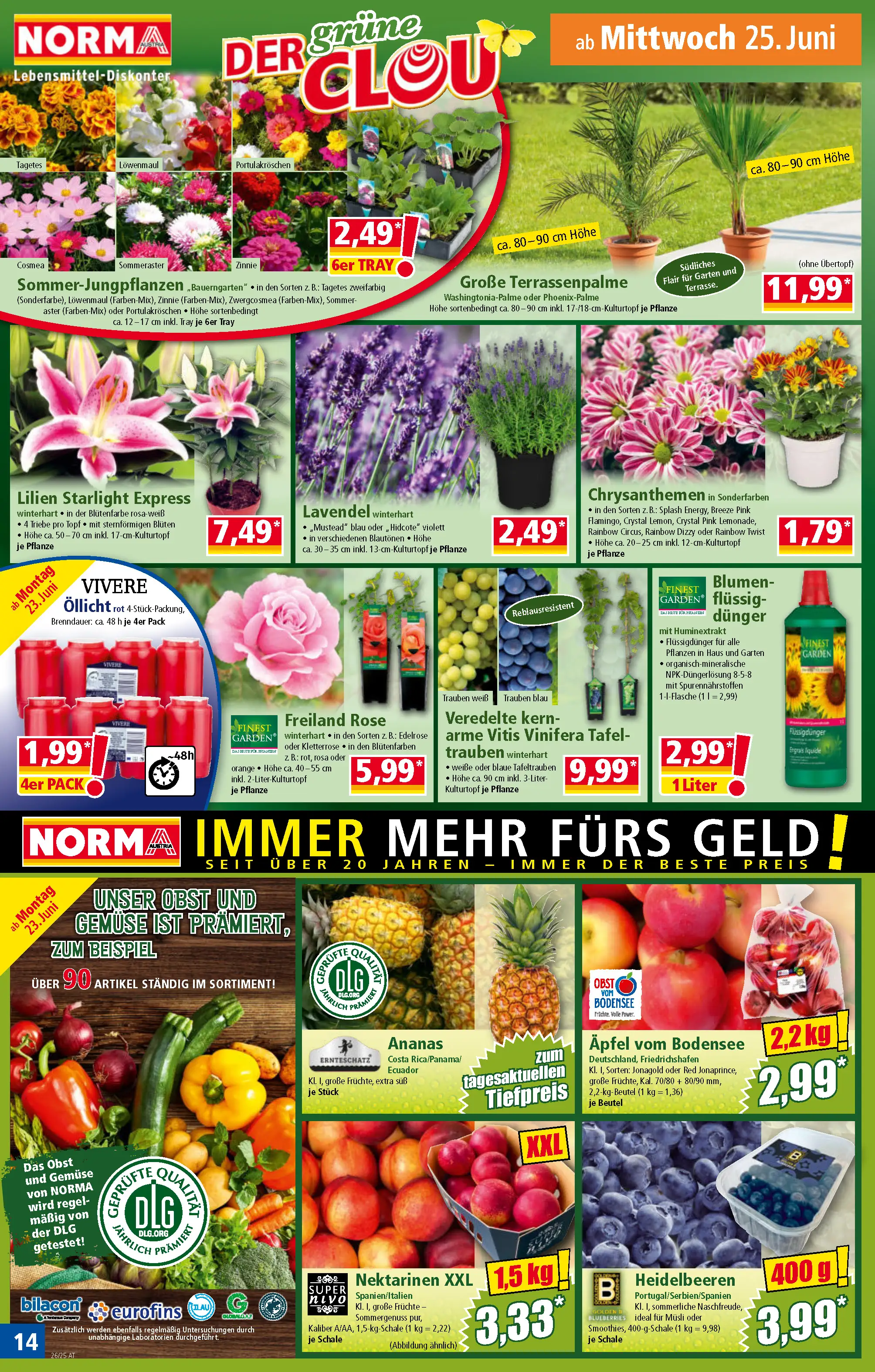 norma online prospekt norma online prospekt